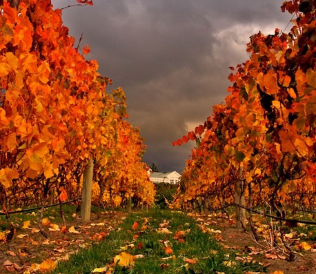 免费轰炸电话软件下载